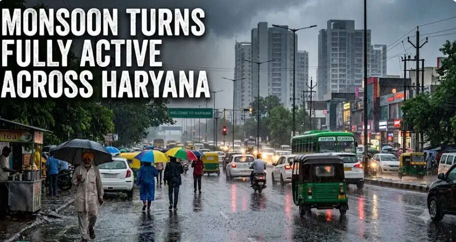 Monsoon active in haryana