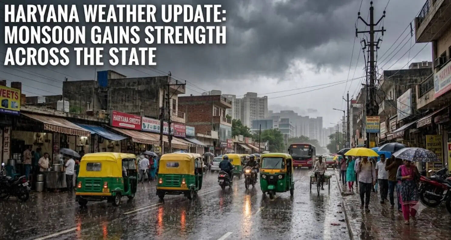 Haryana Weather updates