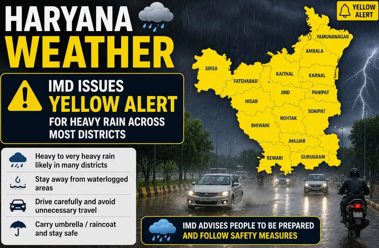 Haryana yellow alert news