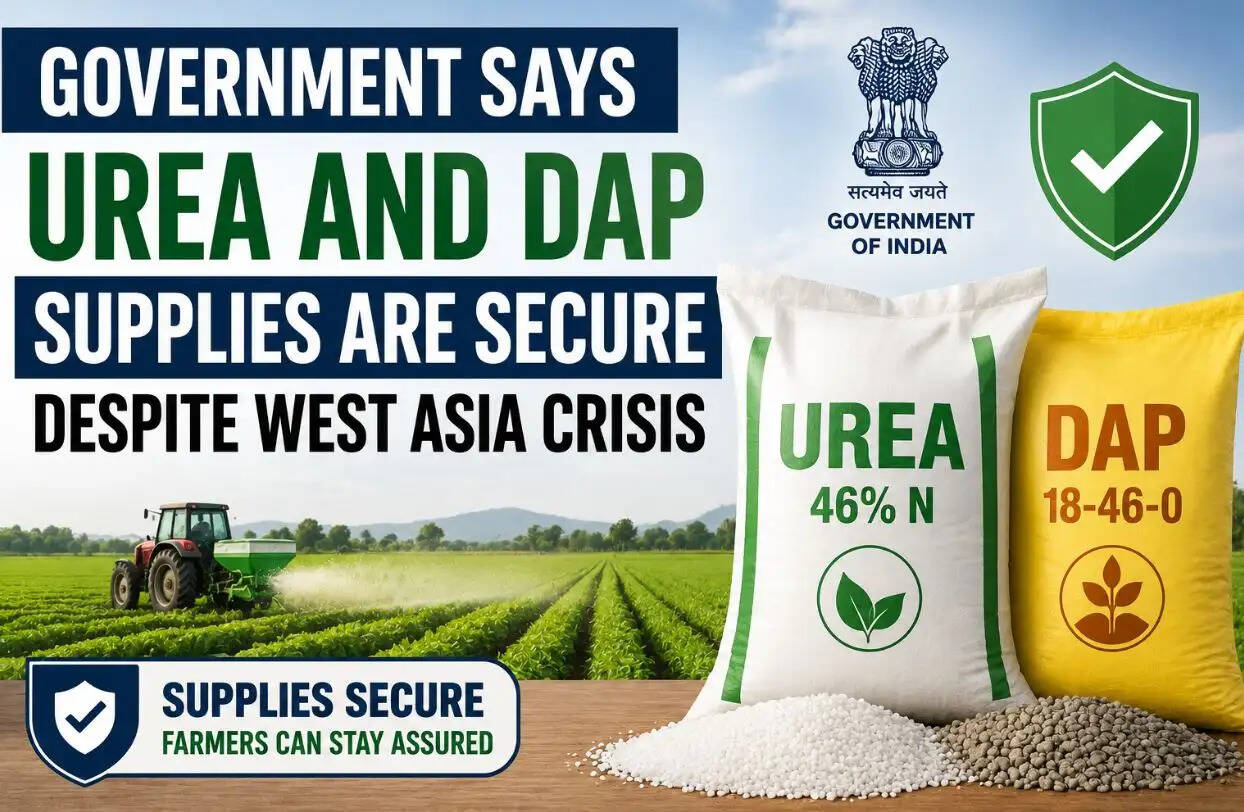 UREA and DAP Supplies